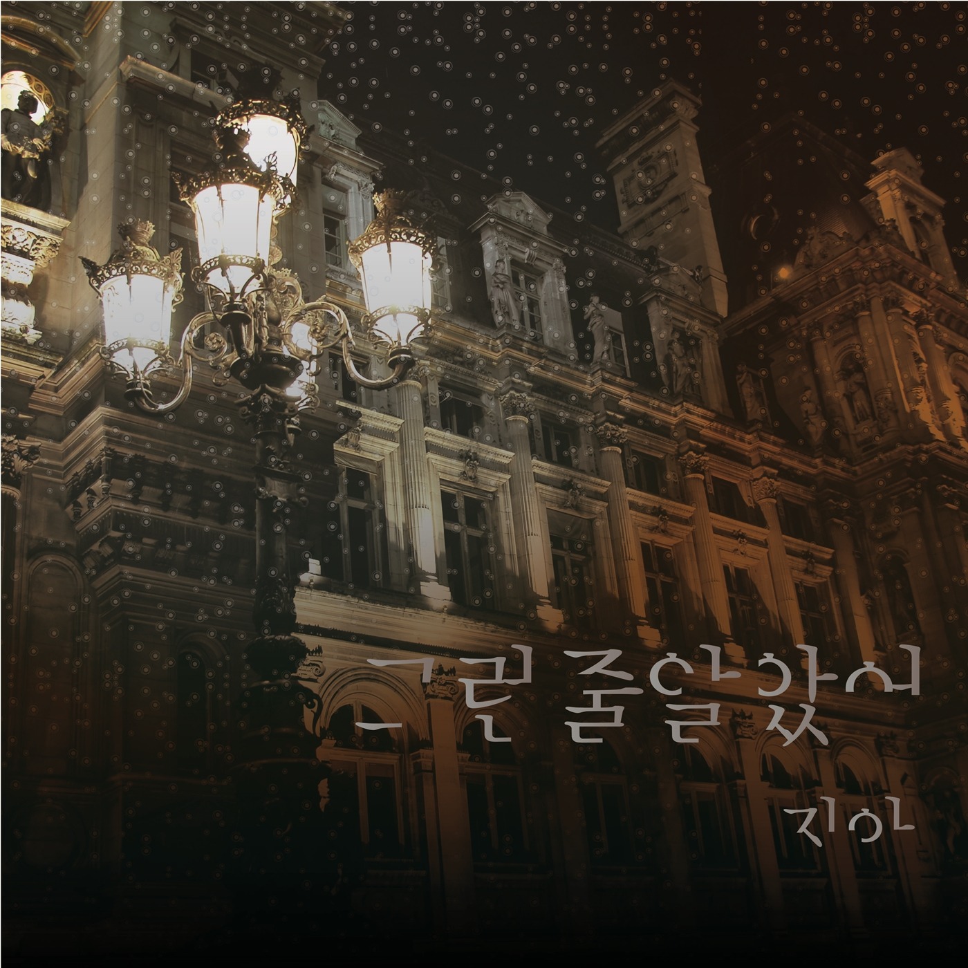 지아 이미지